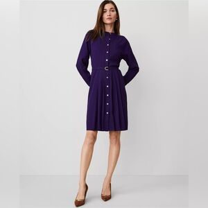 Ann Taylor Midi Dress